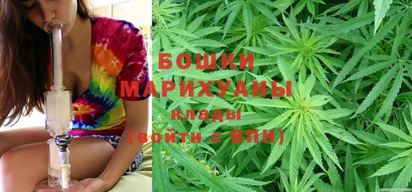 прущие крисы Верея