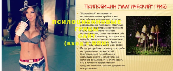 прущие крисы Верея