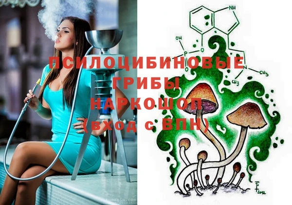 прущие крисы Верея