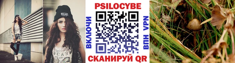 ссылка на мегу ССЫЛКА  Пикалёво  Псилоцибиновые грибы GOLDEN TEACHER 
