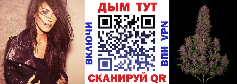 Марихуана сатива  где купить   МЕГА онион  Пикалёво 
